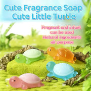 a box of Turtle Soap
