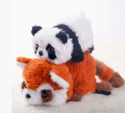 Panda in costume