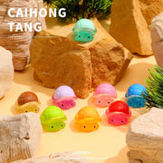 New baby Turtle  15 bags 【 +1 bag 】  (at least get  25 pcs)