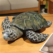 Green turtle small one